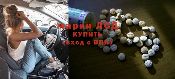 прущие грибы Алексеевка